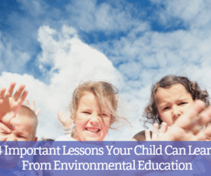 choosing a preschool